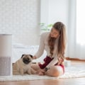 How 14x14x1 Air Filters and an Air Purifier Can Keep Your Dusty House Clean