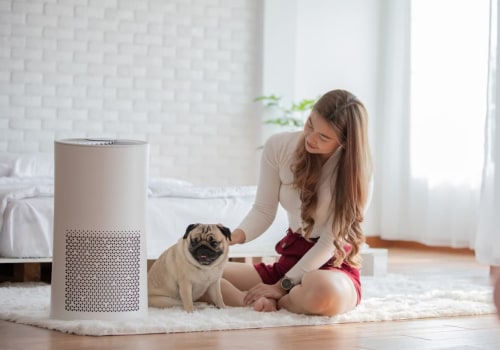 How 14x14x1 Air Filters and an Air Purifier Can Keep Your Dusty House Clean